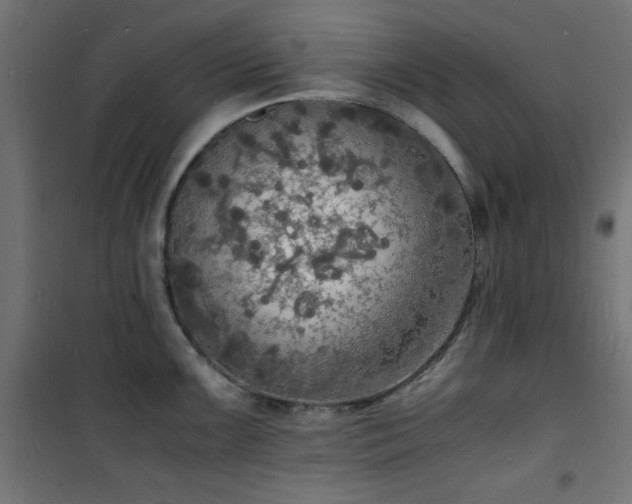 X0000101481099200807141409