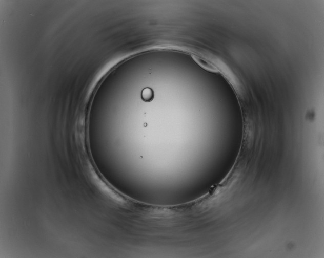 X0000101481100200807141409
