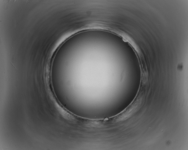 X0000101481101200807141409