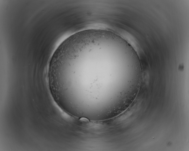 X0000101481103200807141409