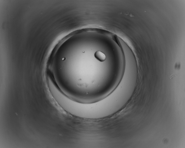X0000101481104200807141409