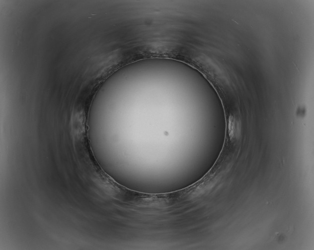 X0000101481107200807141408