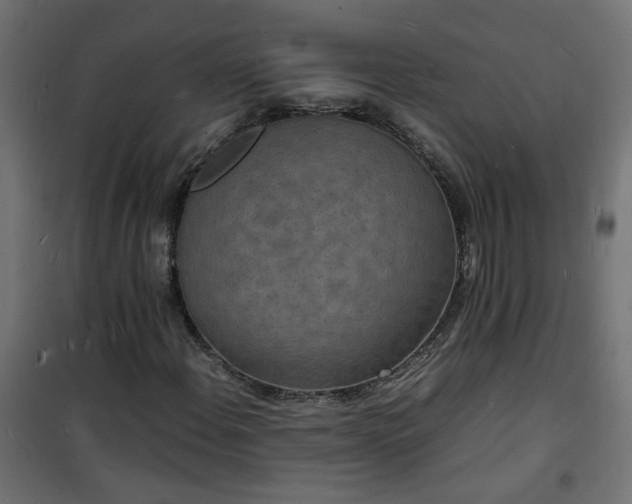 X0000101481108200807141408