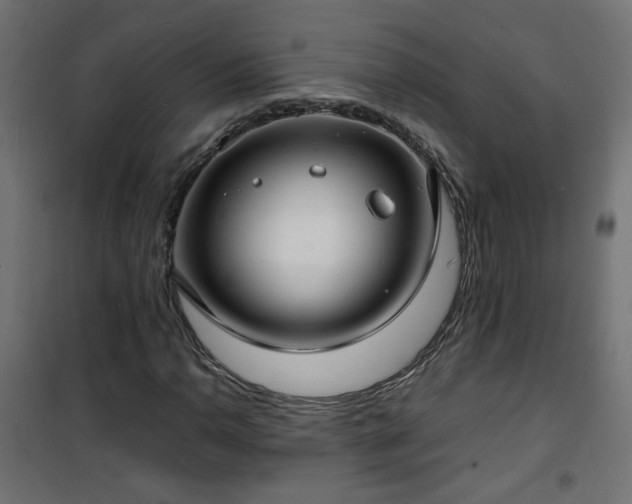 X0000101481110200807141408