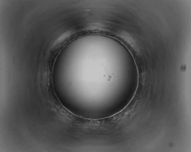 X0000101481111200807141408