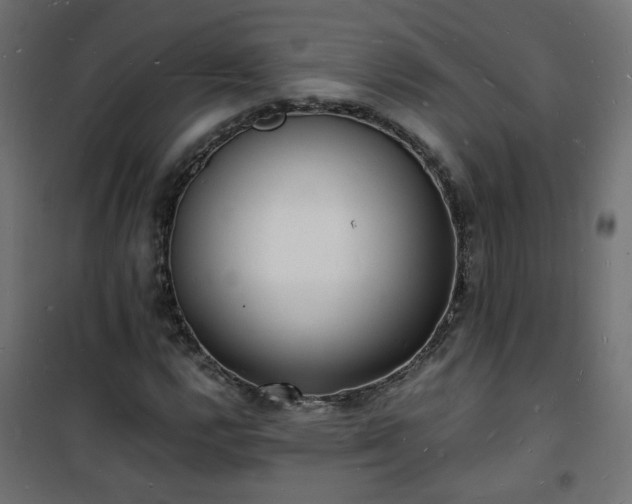 X0000101481112200807141408