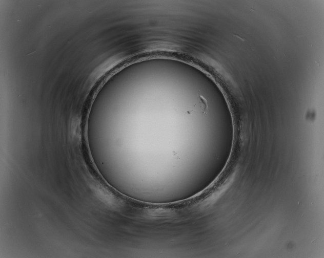 X0000101481113200807141408