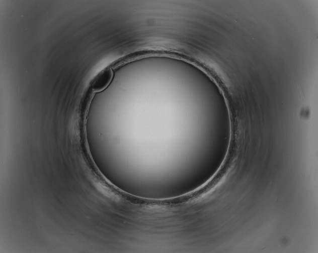 X0000101481114200807141408