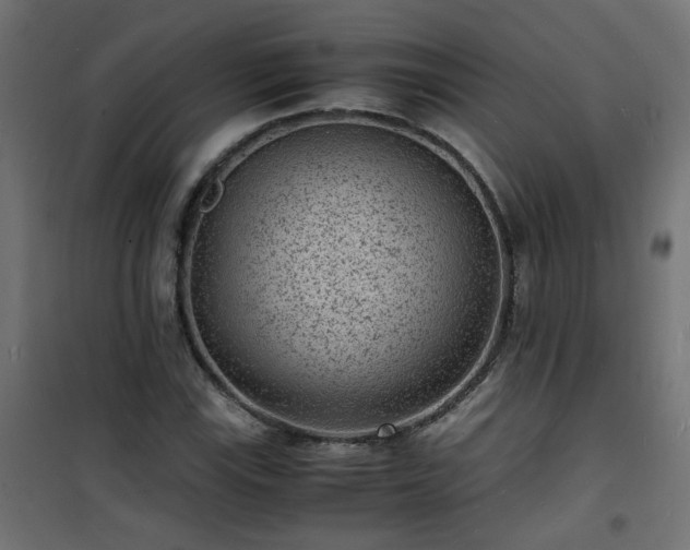 X0000101481115200807141408