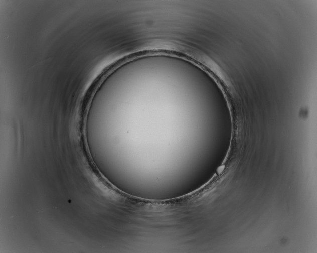 X0000101481116200807141408