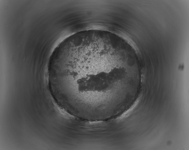 X0000101481117200807141408