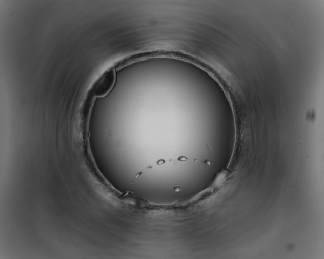 X0000101481118200807141408