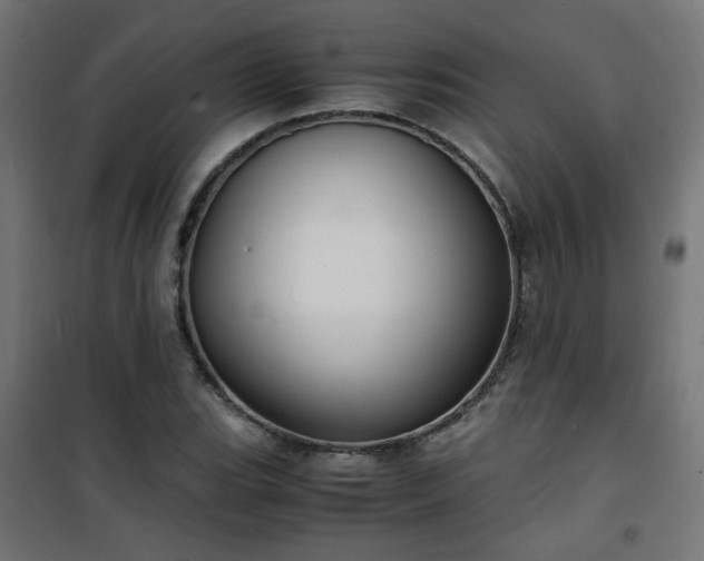 X0000101481119200807141408