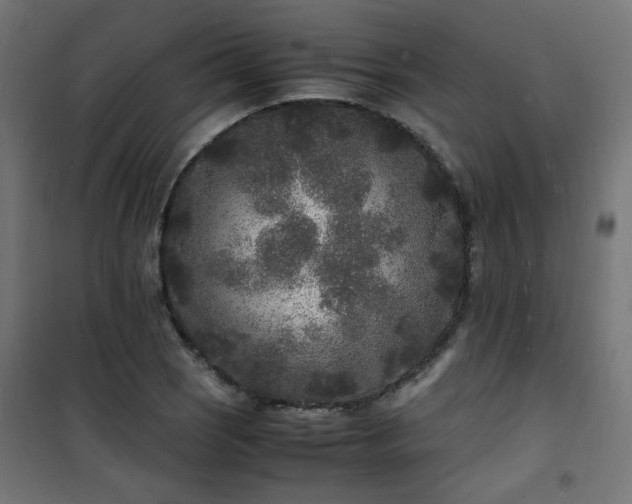 X0000101481121200807141408