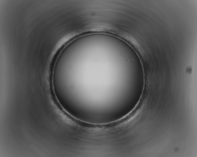 X0000101481122200807141408