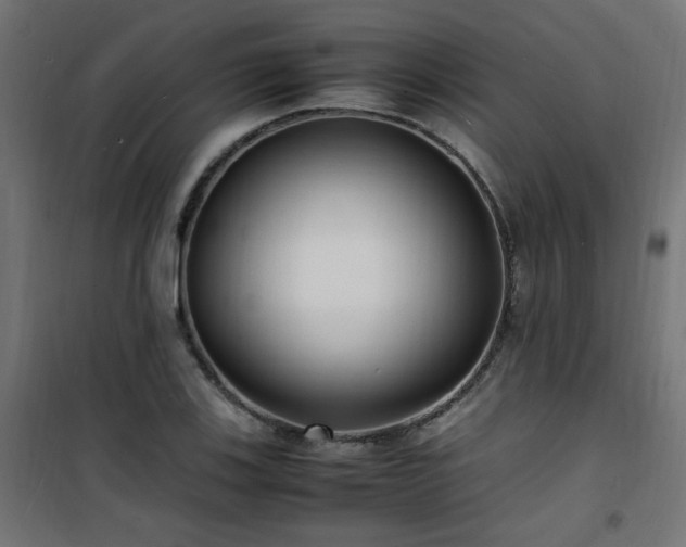 X0000101481123200807141408