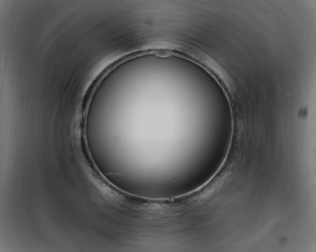 X0000101481124200807141408