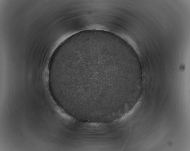 X0000101481125200807141408