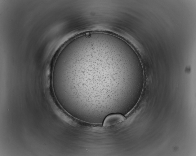 X0000101481126200807141408