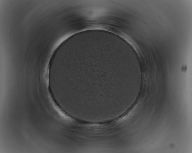 X0000101481127200807141408