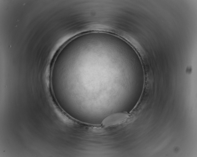 X0000101481128200807141408