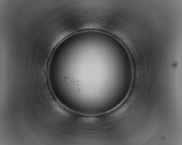 X0000101481129200807141408