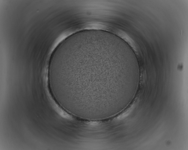 X0000101481130200807141408