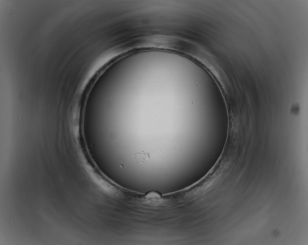 X0000101481131200807141408