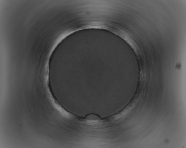 X0000101481132200807141408