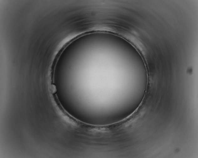 X0000101481133200807141408