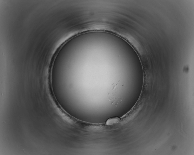 X0000101481134200807141408