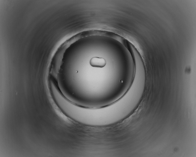 X0000101481136200807141409