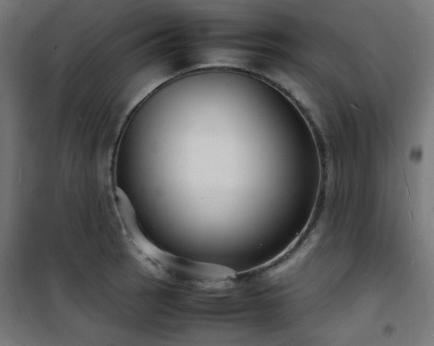 X0000101481137200807141409