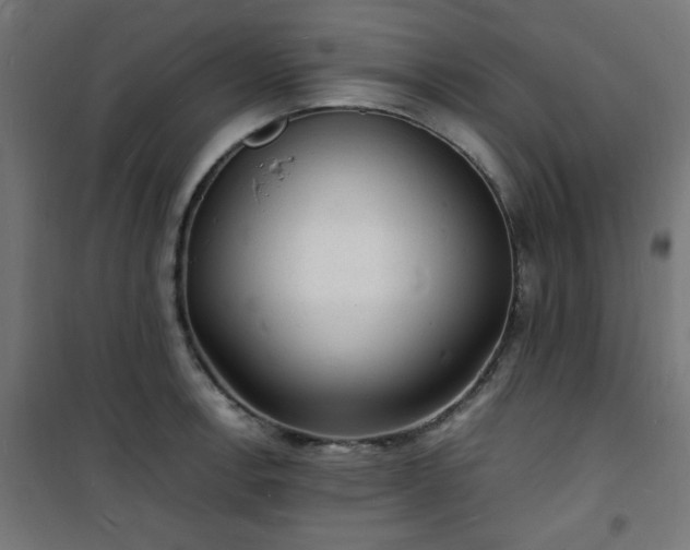 X0000101481138200807141409