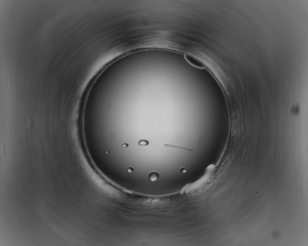 X0000101481139200807141409
