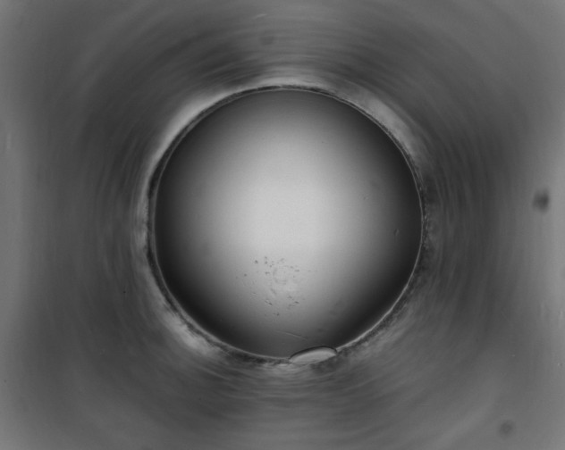 X0000101481140200807141409