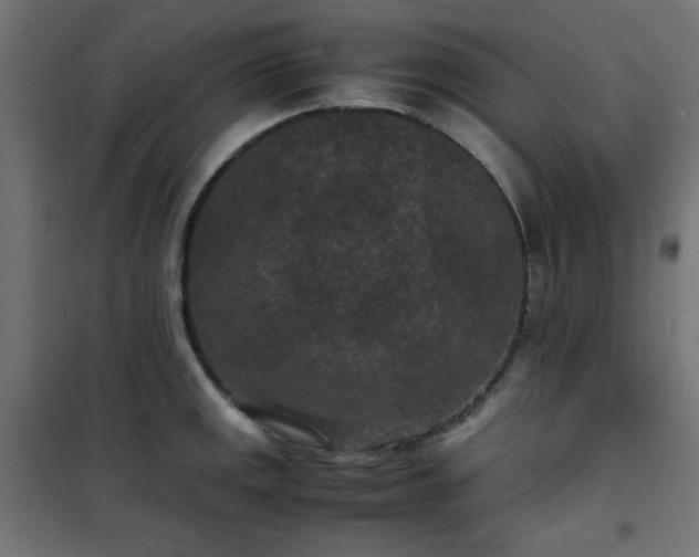 X0000101481141200807141409