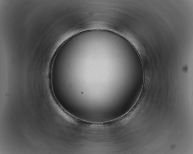 X0000101481142200807141409
