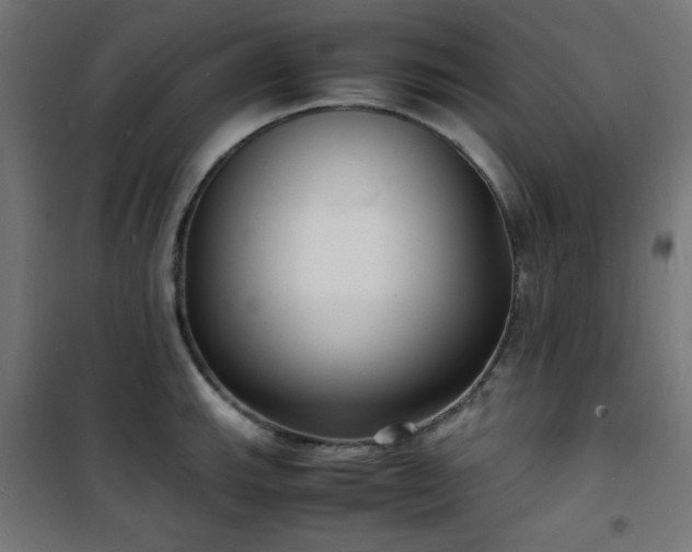 X0000101481143200807141409
