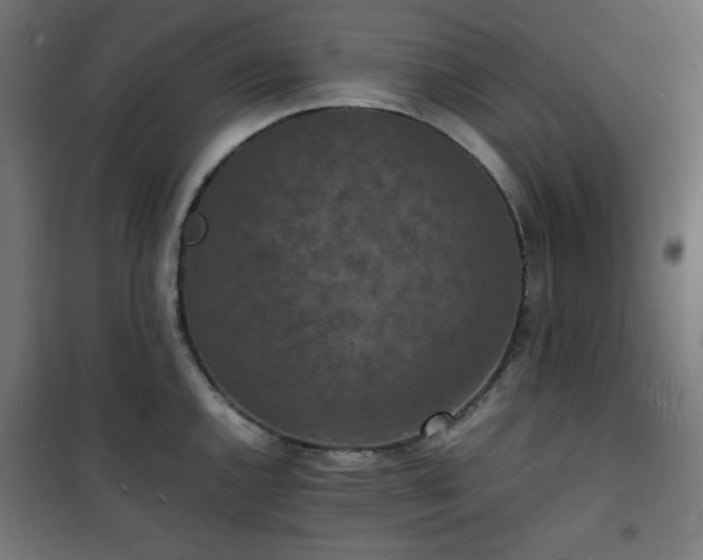 X0000101481144200807141409