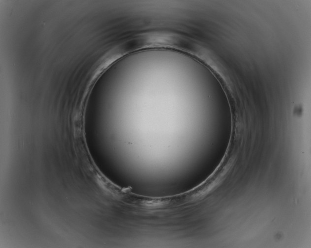 X0000101481145200807141409