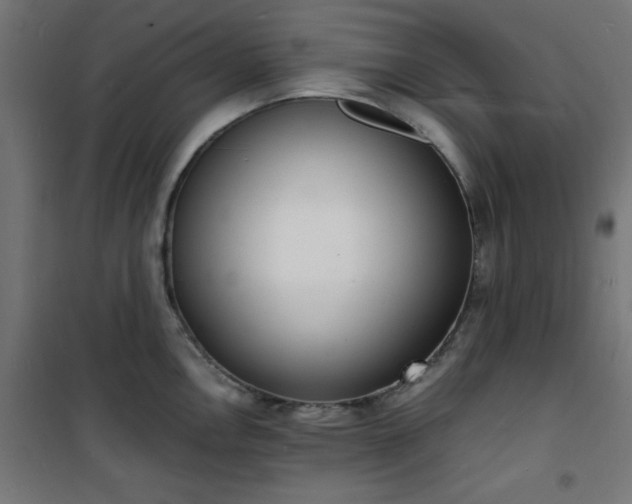 X0000101481146200807141409