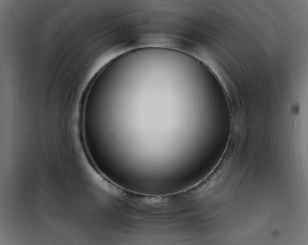 X0000101481147200807141409