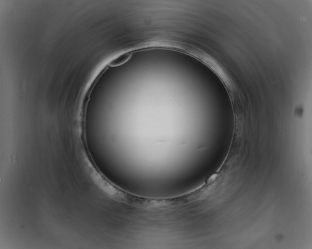 X0000101481148200807141409