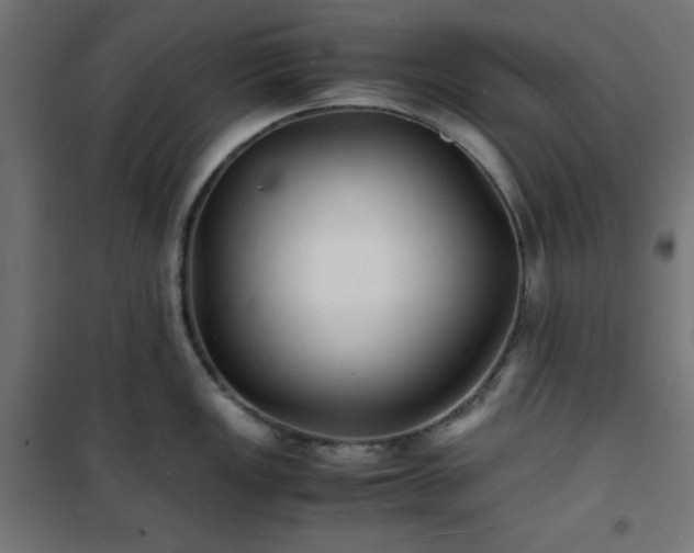 X0000101481149200807141409
