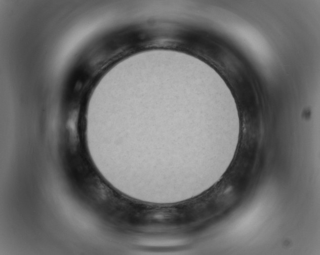 X0000101481150200807141409
