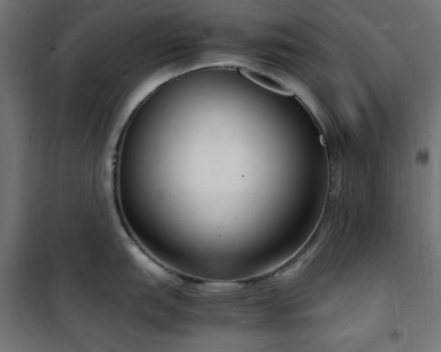 X0000101481151200807141409
