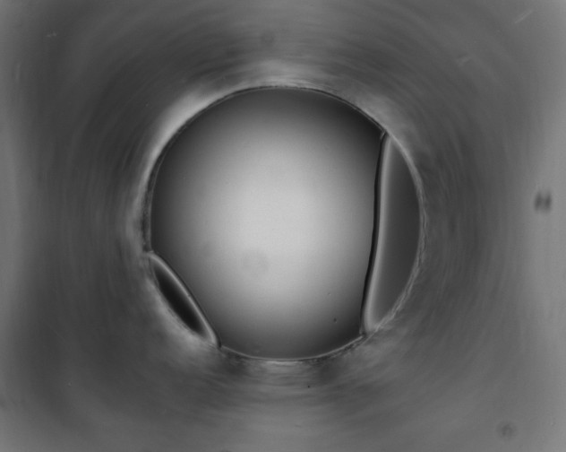 X0000101481152200807141409