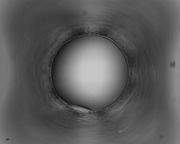 X0000101481153200807141408