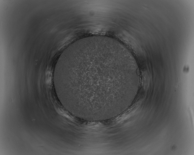 X0000101481154200807141408